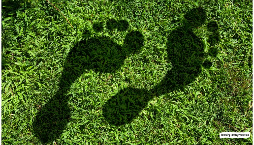 laundry-sheets-carbon-footprint